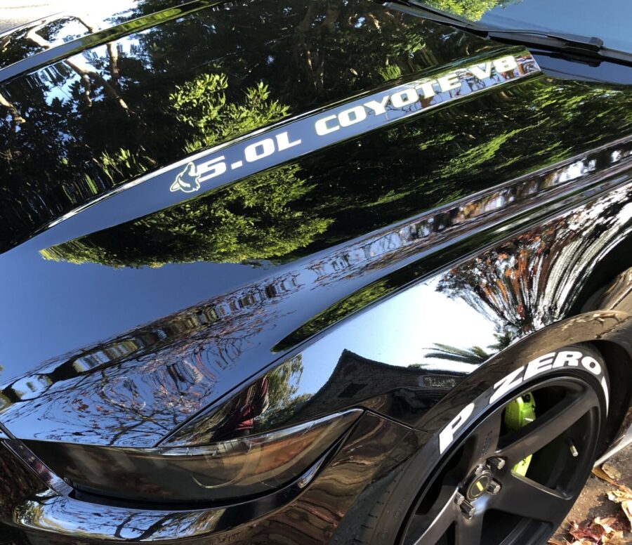 Custom Bonnet Decals-Brisbane, Qld