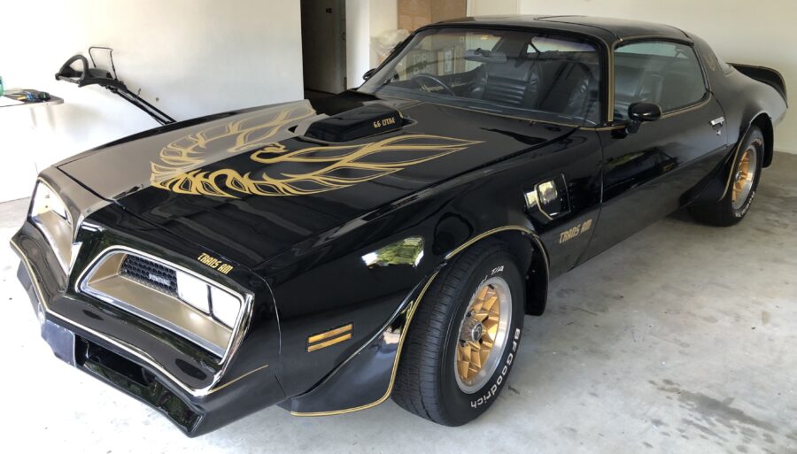 American trans-am pinstripes brisbane